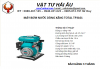 Máy bơm nước dùng xăng TOTAL TP3101 - anh 1