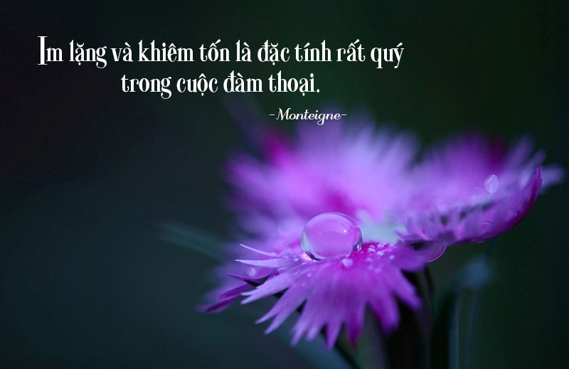 Danh ngôn về phản bội - phán đoán - phản kháng - phàn nàn - phán xét - phát triển - phẩm cách - phấn đấu - phân trần - phê bình - phê phán - phi lý phiền muộn - phưu lưu - phim ảnh - phong cách - phụ nữ - phù phiếm - phụ thuộc - phức tạp - phục tùng - phụng sự.