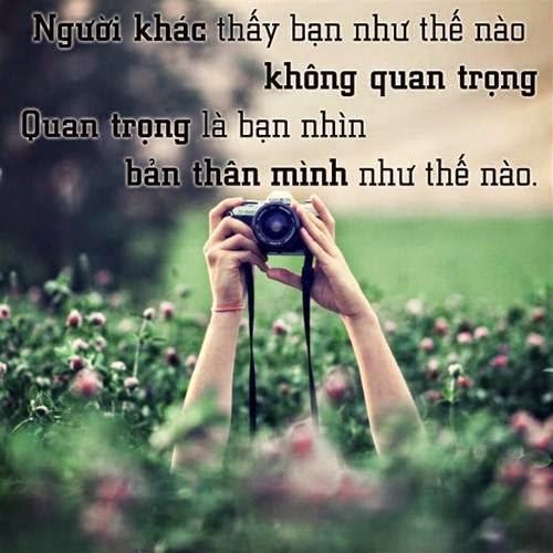 DANH NGÔN HAY VỀ RỦI RO