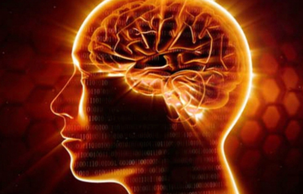 Con người mới dùng 10% bộ não, duy trì 8 thói quen này để khai thác tối đa tiềm năng