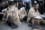 29 bài học kinh doanh đắc giá của người Do Thái