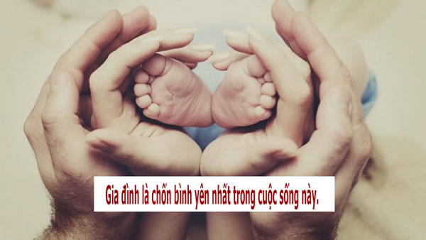 14 câu chuyện ngắn xúc động về gia đình và tình thân, bạn nên đọc 1 lần trong đời