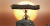 Khoảnh Khắc Suy Ngẫm Về Giá Trị Của Sự Tử Tế