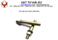 tắc kê sắt ống thường