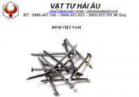 Đinh VIỆT NAM