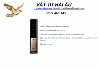 KHÓA THÔNG MINH GABÖRSE GE-899MVG  5.00 trên 5
