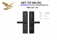 KHÓA VÂN TAY PHILIPS 603E