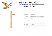 Tay khóa cửa đại sảnh VICKINI 38605.001 EG