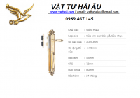Khóa cửa đại sảnh VICKINI 38606.101 EG