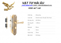 Khóa cửa nẹp VICKINI 38505.101 EG