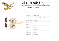 Khóa cửa phân thể VICKINI 38306.101 EG