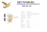 Khóa cửa phân thể VICKINI 38302.101 EG