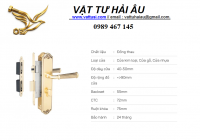 Khóa cửa nẹp VICKINI 38538.101 EG