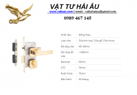 Khóa cửa phân thể VICKINI 38378.101 EG