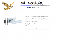 Khóa cửa sinh thái VICKINI 34101.001 WPR