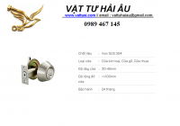 Khóa cửa thêm VICKINI 30101.001 OBP
