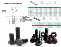 CATALOG bulong ốc vít Hải Âu