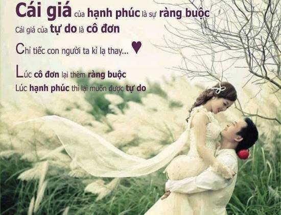 200+ những câu nói hay về gia đình hay và ý nghĩa, đáng để đọc