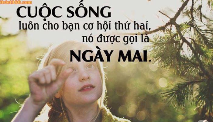 Những câu nói hay về tình yêu, gia đình, cuộc sống, thiên nhiên