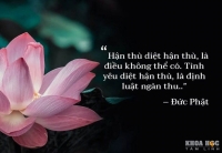 70+ CÂU NÓI HAY CỦA PHẬT KHIẾN BẠN PHẢI SUY NGẪM