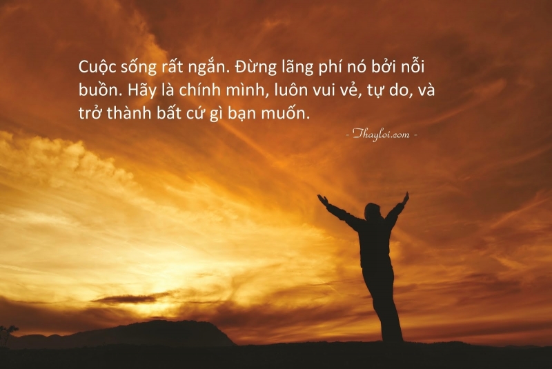 Câu chuyện: Giai đoạn đẹp nhất của cuộc đời
