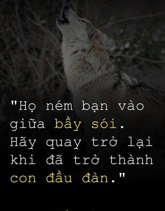777+ châm ngôn sống tích cực mỗi ngày, cap yêu đời hài hước, lạc quan nhất
